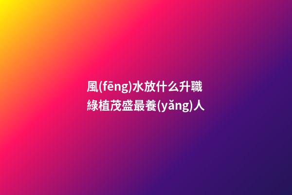 風(fēng)水放什么升職 綠植茂盛最養(yǎng)人